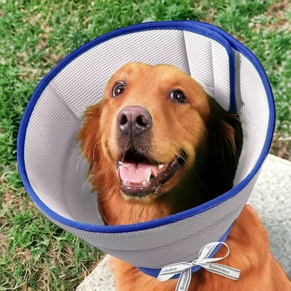 NWT Boomaker Extra Soft Dog Cone After Surgery Blue Elizabethan Collar, Small